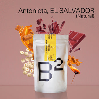 Antnieta, EL SALVADOR / アントニエタ,エルサルバドル ナチュラル 中煎
