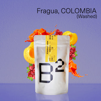 Fragua, COLOMBIA / フラグア,コロンビア ウォッシュド 中煎